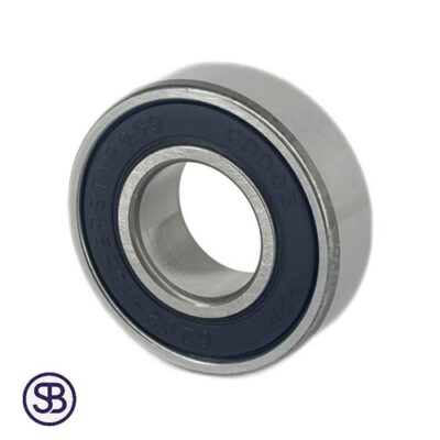 قیمت و خرید بلبرینگ 6202 داخل 16 واشر لاستیکی برند P2P با بهترین کیفیت و گارانتی اصالت کالا | سهند بی استور